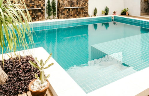 green potted plant beside swimming pool
