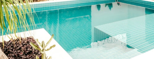 green potted plant beside swimming pool